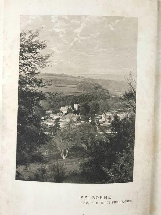 含藏书票！1902年 塞耳彭自然史 123幅插图 漆布精装32开 商品图3