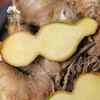 生态肉姜  | 合作生产 * Ecological Ginger  | Coproduction 商品缩略图5