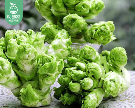 四川霜打新鲜小儿菜/1份（约500g） 商品图1