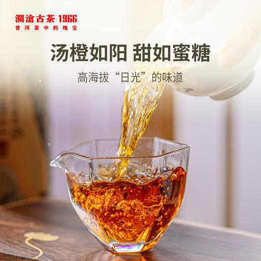 澜沧古茶茶妈妈古树晒红茶云南红茶单罐250g 1罐 商品图3