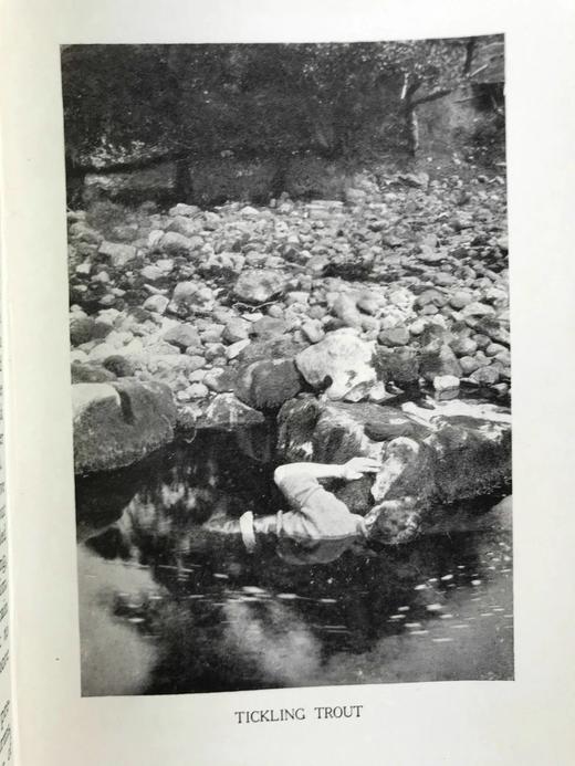 含藏书票！1926年 基尔顿《一个博物学家的朝圣》 8幅插图 漆布精装32开 商品图7