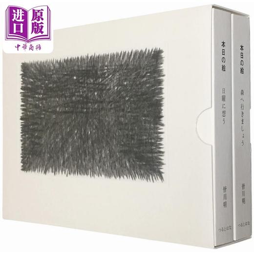 【中商原版】本日の絵皆川明挿画集２巻セット 进口艺术 今日之画，皆川明插画作品集 皆川明 つるとはな 日文原版 商品图2