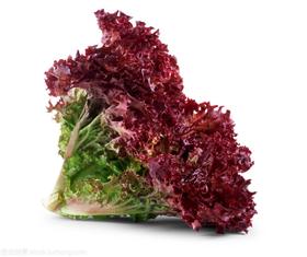 紫生菜1斤