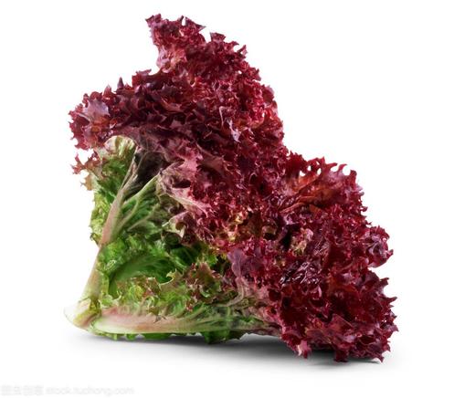 紫生菜1斤约2-3朵 商品图0