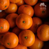 生态金秋砂糖橘| 合作生产 *Ecological Sugar Orange | Coproduction 商品缩略图4
