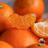 生态金秋砂糖橘| 合作生产 *Ecological Sugar Orange | Coproduction 商品缩略图2