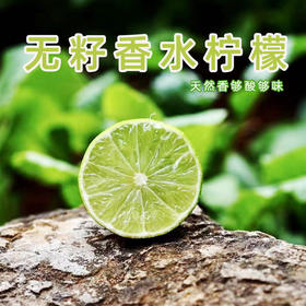 天然香·塔希堤无籽香水青柠檬 够酸够味