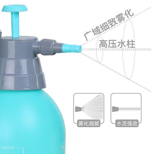 手动气压式浇花喷壶洒水壶浇水壶园艺工具喷雾器小胶圈壶家用消毒2升 商品图1