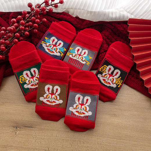 兔年本命年红袜子情侣款棉冬季高筒防寒袜 商品图8