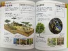 《DK图解中学生物学》+《中学生物学学习手册》（全2册） 商品缩略图6