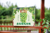 金冠阳光玫瑰葡萄 商品缩略图1