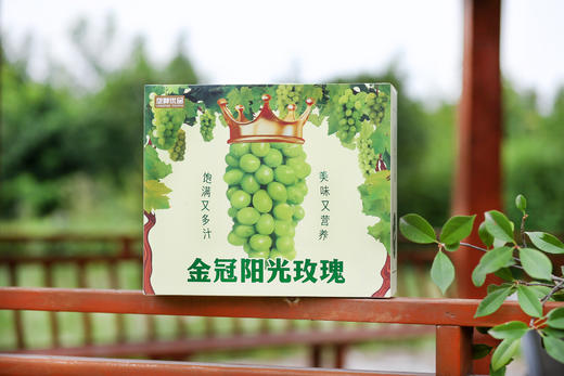金冠阳光玫瑰葡萄 商品图1