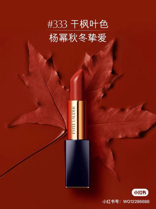 雅诗兰黛 倾慕哑光-333 商品图1