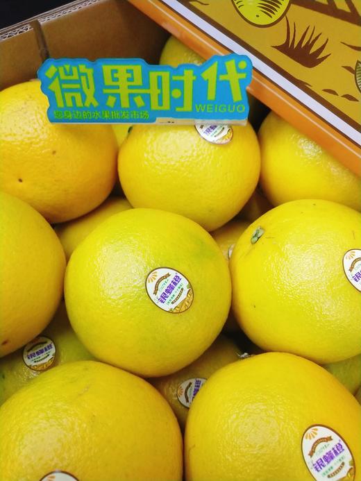 银蜂橙一箱（拼团） 商品图2