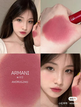阿玛尼口红-102