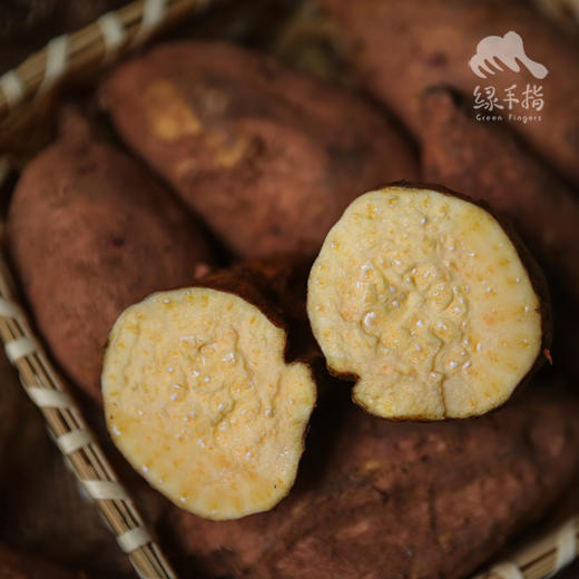 生态黄心红薯| 合作生产* Eco sweet potato | Coproduction 商品图0