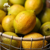 生态黄柠檬 | 合作生产*Eco-yellow lemon | Coproduction 商品缩略图4