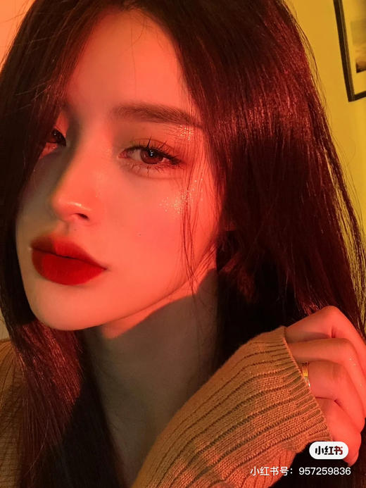 Dior-840丝绒 商品图4