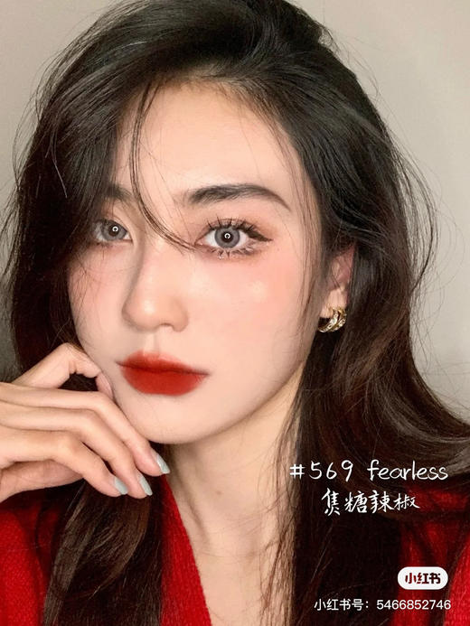 雅诗兰黛 倾慕哑光-569 商品图5