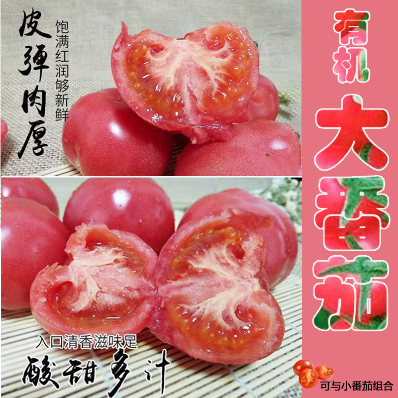有机大番茄5斤装（粉果）
