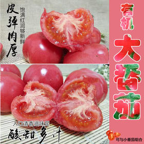 有机大番茄5斤装（粉果）