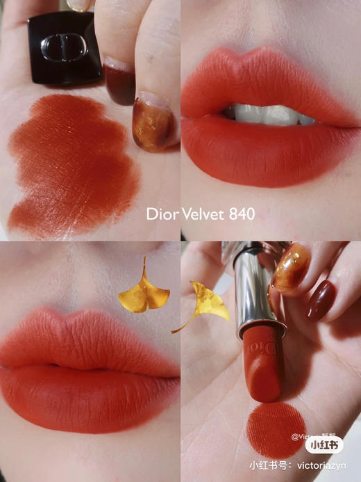 Dior-840丝绒 商品图1