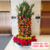 大型四季桔金桔橘树组合盆栽-公司家里大厅门口年宵花卉送货上门（高约50cm 盆子随机） 商品缩略图2