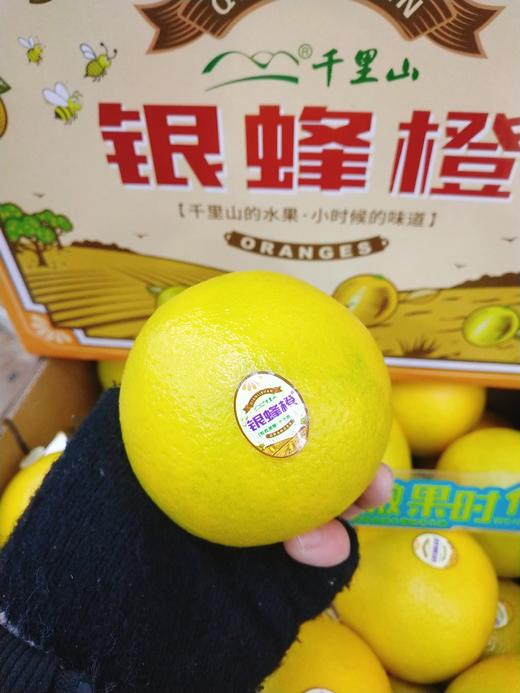 银蜂橙一箱（拼团） 商品图1