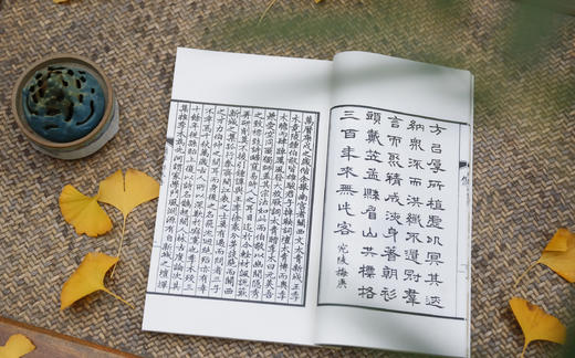 《渔洋山人精华录》 商品图4