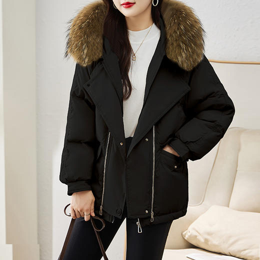 连帽新款短款小个子面包服，时尚宽松休闲保暖羽绒外套潮HR-GRS2183-1 商品图4