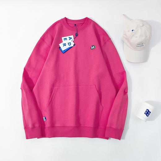 ADER ae小标卫衣1621 [福利品] 商品图0