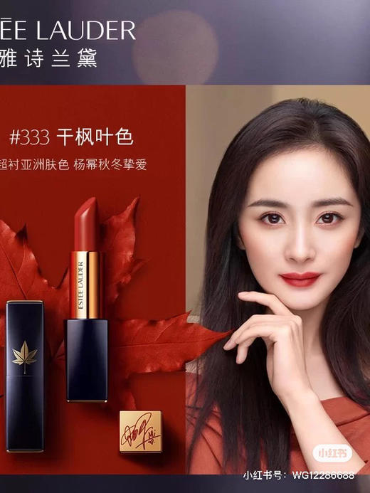 雅诗兰黛 倾慕哑光-333 商品图0