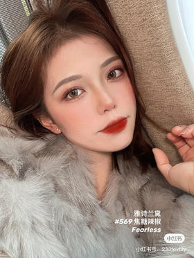 雅诗兰黛 倾慕哑光-569