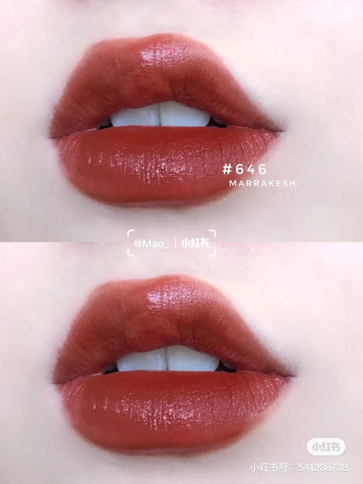 Mac 646 砖红土橘色 商品图6