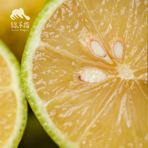 生态黄柠檬 | 合作生产*Eco-yellow lemon | Coproduction 商品图2