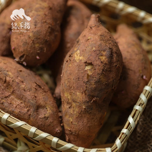 生态黄心红薯| 合作生产* Eco sweet potato | Coproduction 商品图2