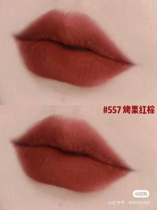 雅诗兰黛 倾慕哑光-557 商品图4