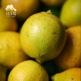 生态黄柠檬 | 合作生产*Eco-yellow lemon | Coproduction