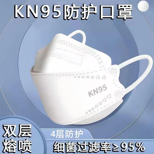 【现货秒发❗️KN95口罩100只更超值】高颜值口罩10只/袋，鱼型立体口罩，精致不蹭口红妆容❗️防尘立体剪裁口罩，民用男女成人口罩，直播福利引流爆款父亲节礼物新年礼盒年货礼盒 商品图0
