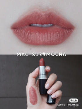 Mac 813 摩卡色