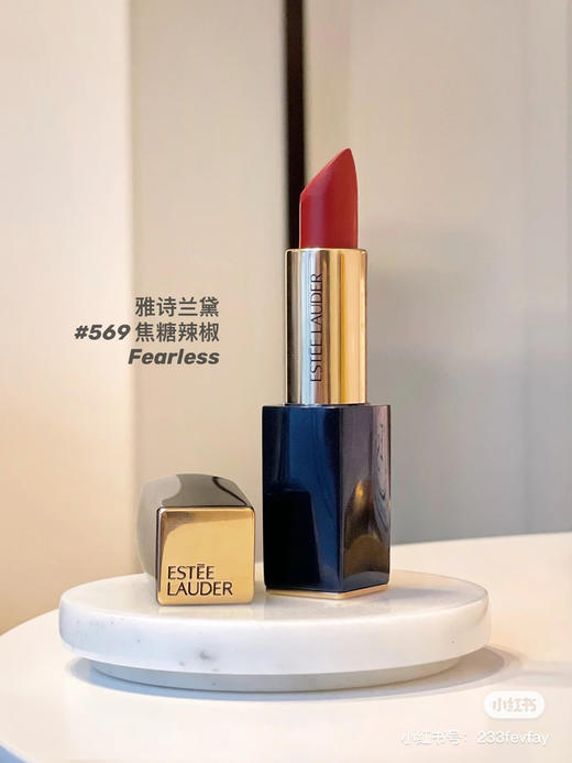 雅诗兰黛 倾慕哑光-569 商品图2