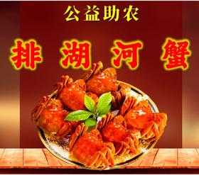 公益助农-排湖河蟹（4公4母）
