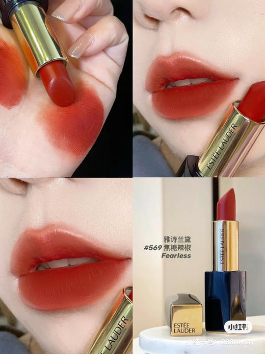 雅诗兰黛 倾慕哑光-569 商品图3