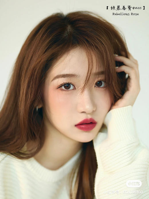 雅诗兰黛 倾慕哑光-420 商品图1