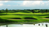 越南双鸽高尔夫俱乐部 Twin Doves Golf Club | 越南高尔夫球场 俱乐部 | 胡志明高尔夫 商品缩略图1