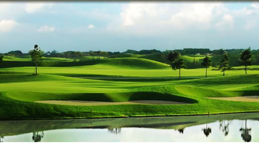 越南双鸽高尔夫俱乐部 Twin Doves Golf Club | 越南高尔夫球场 俱乐部 | 胡志明高尔夫 商品图1