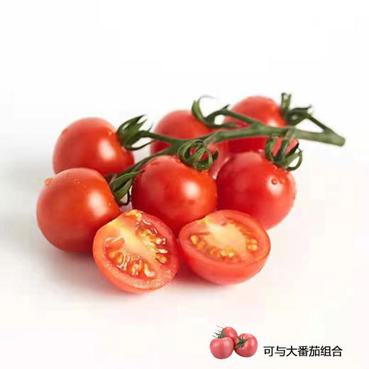 有机樱桃小番茄5斤装 商品图0