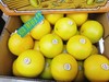 银蜂橙一箱（拼团） 商品缩略图3