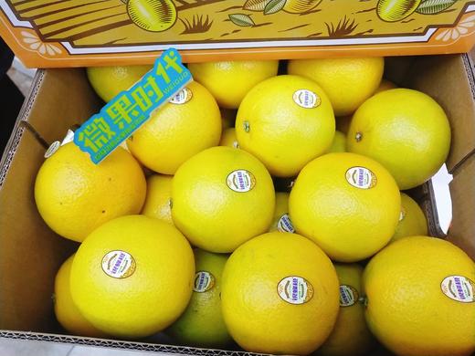 银蜂橙一箱（拼团） 商品图3
