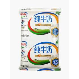 伊利小枕纯牛奶240ml